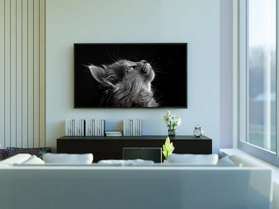 Samsung frame tv mounted on the wall